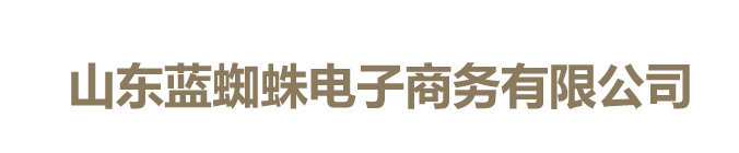 山东蓝蜘蛛电子商务有限公司